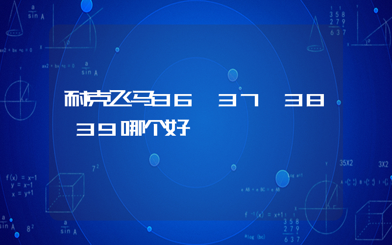 耐克飞马36 37 38 39哪个好插图